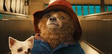 Все части «Приключений Паддингтона»