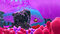 The Little Mermaid and the Sea Monster
