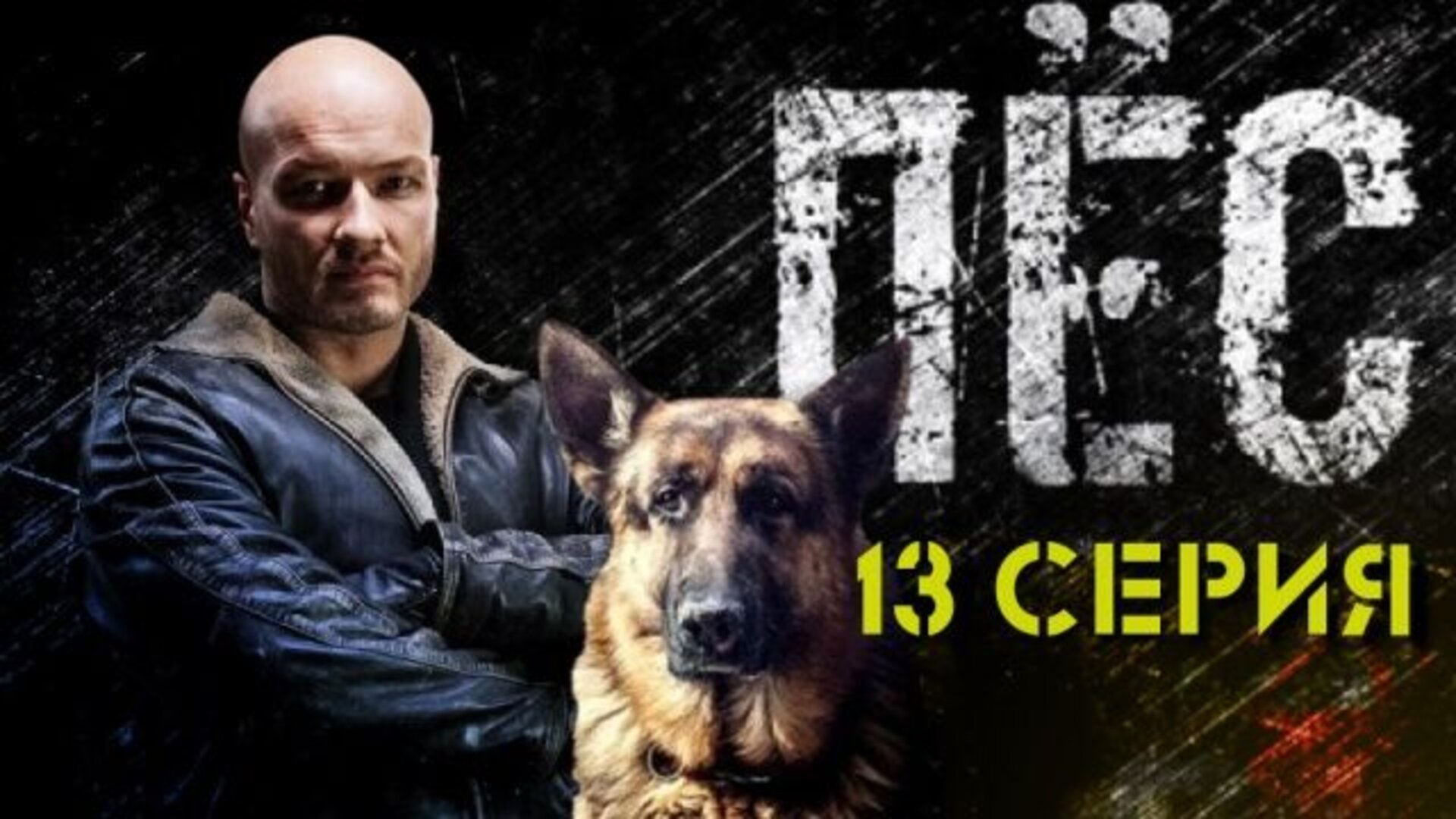 Сериал «Пёс»: сезон 4 - серия 13 смотреть онлайн - НТВ-ПЛЮС Онлайн ТВ