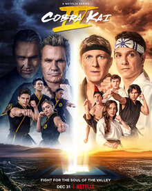 Постер сериала Кобра Кай