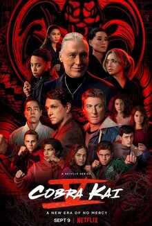 Постер сериала Кобра Кай