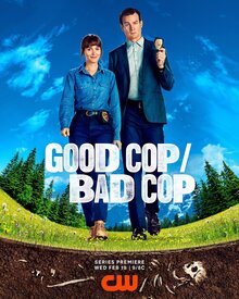 Постер сериала Хороший коп, плохой коп