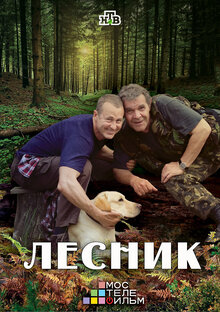 Lesnik poster