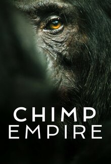 Chimp Empire