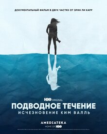 Постер сериала Подводное течение: Исчезновение Ким Валль