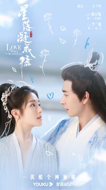 The Starry Love poster