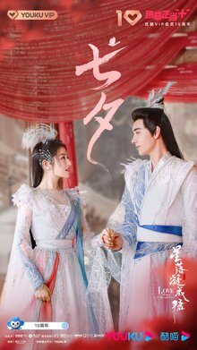 The Starry Love poster
