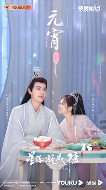 The Starry Love poster