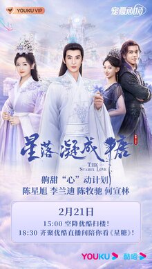 The Starry Love poster