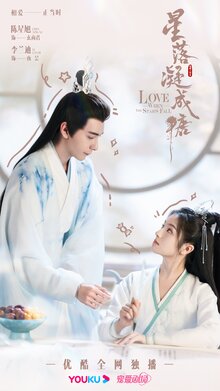 The Starry Love poster