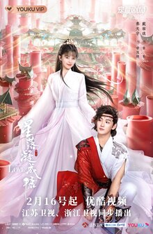 The Starry Love poster