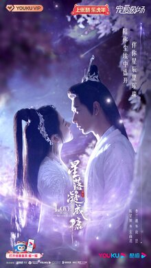 The Starry Love poster
