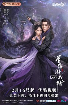 The Starry Love poster