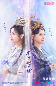 The Starry Love poster
