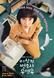 Extraordinary Attorney Woo poster