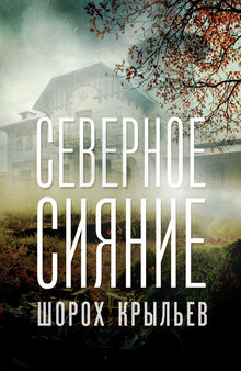 Severnoe siyanie poster