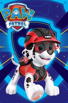 Paw Patrol poster