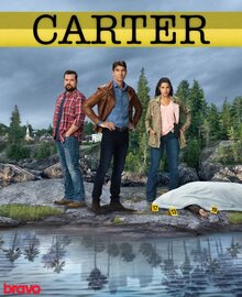Постер сериала Картер