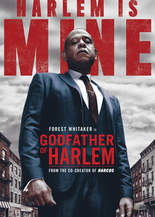 Godfather of Harlem poster