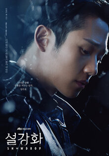 Snowdrop poster