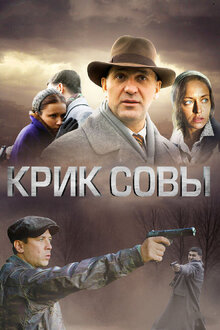 Krik sovy poster