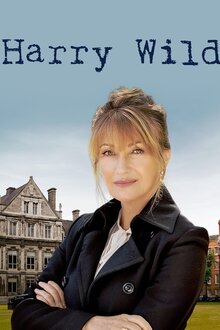 Постер сериала Гарри Уайлд