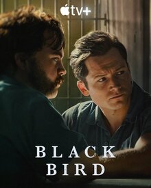 Постер сериала Черная птица