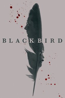 Black Bird poster