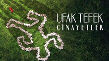 Постер сериала Большая маленькая ложь