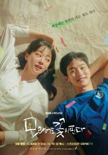 The Sand Flower poster