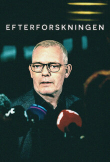 The Investigation poster