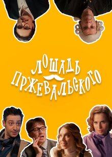 Loshad Przhevalskogo poster