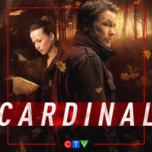 Cardinal poster