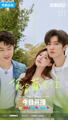 Tou tou cang bu zhu poster