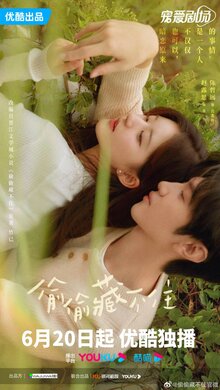 Tou tou cang bu zhu poster