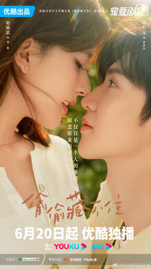 Tou tou cang bu zhu poster