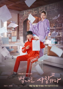 Постер сериала Любовь по закону