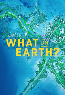 What on Earth? poster
