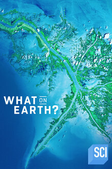 What on Earth? poster
