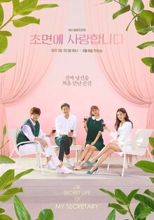 The Secret Life of My Secretary poster
