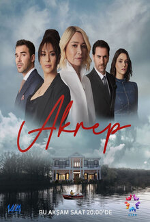 Постер сериала Скорпион