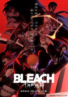 Bleach poster