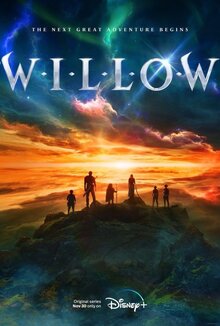 Willow poster