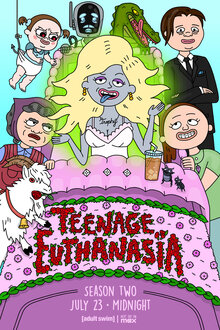Teenage Euthanasia poster