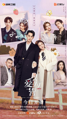 Only for Love poster