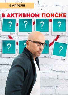 Постер сериала В активном поиске