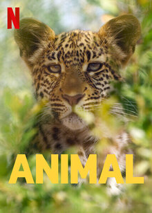 Постер сериала Удивительные животные