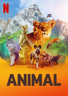 Animal poster