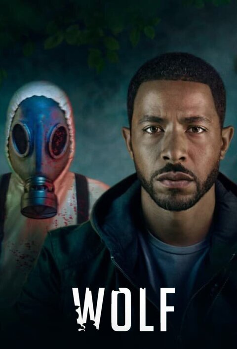 Постер сериала Волк