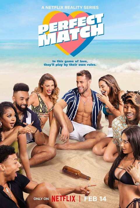 Perfect Match poster